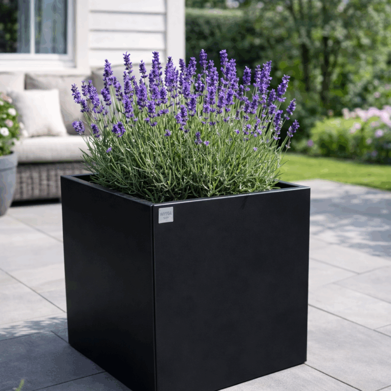 Pflanzkübel / Hochbeet - Stahl - 55x55x55cm Schwarz Lackiert